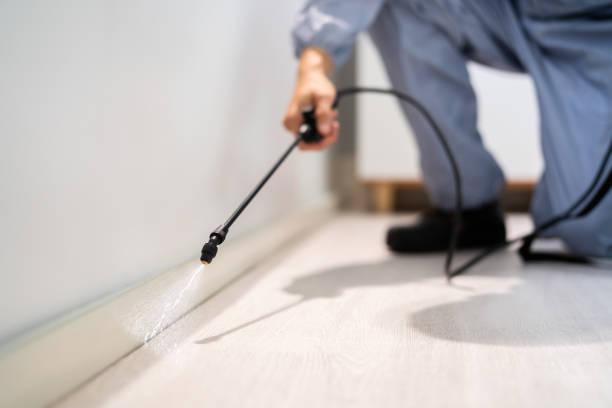 Professional Pest Control in North Apollo, PA